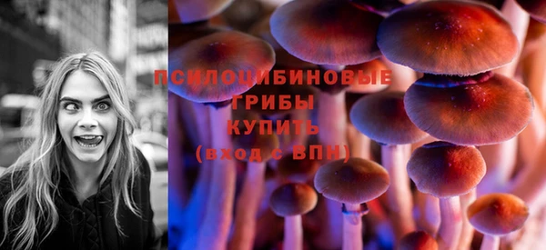 стафф Абинск