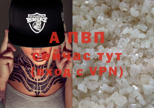 стафф Абинск