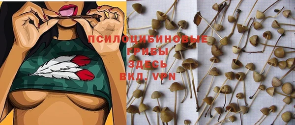 стафф Абинск