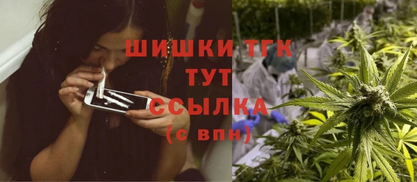 a pvp Гусев